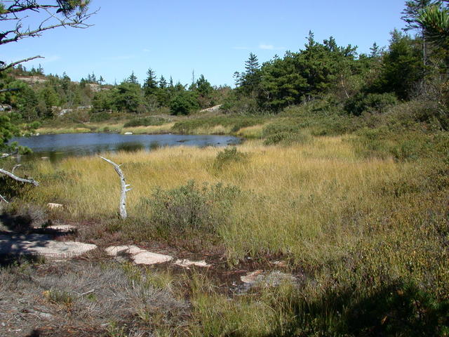 Feather Pond