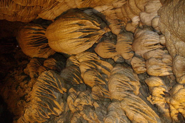1 OrCaves Redwoods OrCavesHangingGlob2