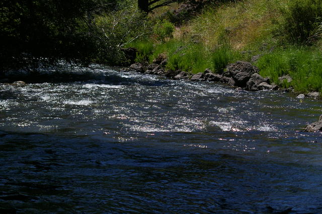 5 Steens IMGP0327