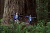 1 OrCaves Redwoods R GRedwoodLgDiam
