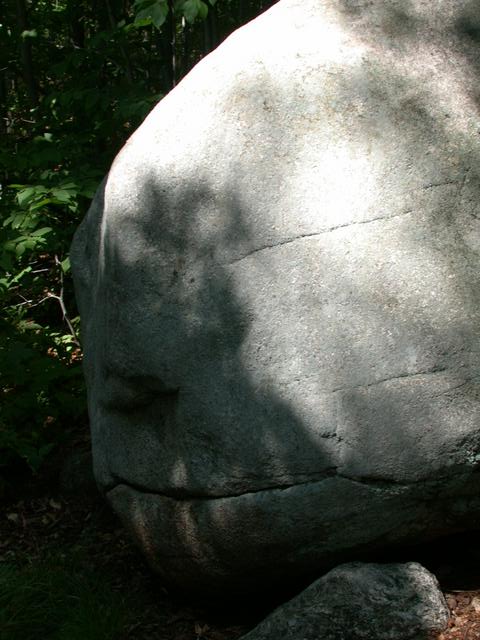 Face in the rock
