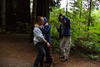 1 OrCaves Redwoods MRGRedwoodsTussle