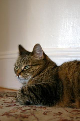 Nat_babysit_peets_in_hallway_1