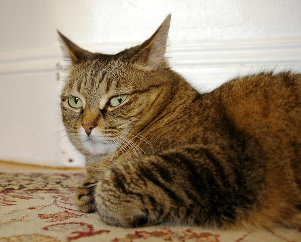 Nat_babysit_peets_in_hallway_2