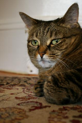 Nat_babysit_peets_in_hallway_3